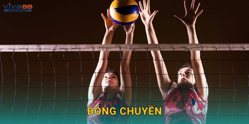 Bóng chuyền hấp dẫn – Từng pha bóng đáng giá tại Viva88 1 Bóng chuyền hấp dẫn – Từng pha bóng đáng giá tại Viva88