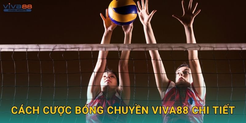 Bóng chuyền hấp dẫn – Từng pha bóng đáng giá tại Viva88 2 Cách cược bóng chuyền Viva88 chi tiết