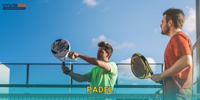 Padel phong cách – Thể thao hiện đại tại Viva88 1 Padel phong cách – Thể thao hiện đại tại Viva88