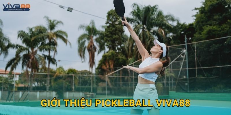 Giới thiệu Pickleball Viva88