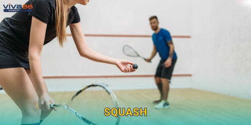 Squash tốc độ – Cảm nhận từng pha bóng tại Viva88 1 Squash tốc độ – Cảm nhận từng pha bóng tại Viva88