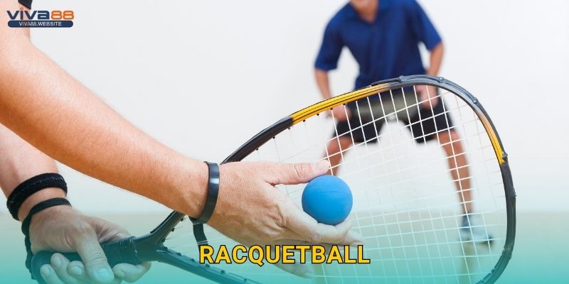 Racquetball hiện đại – Cược năng động tại Viva88