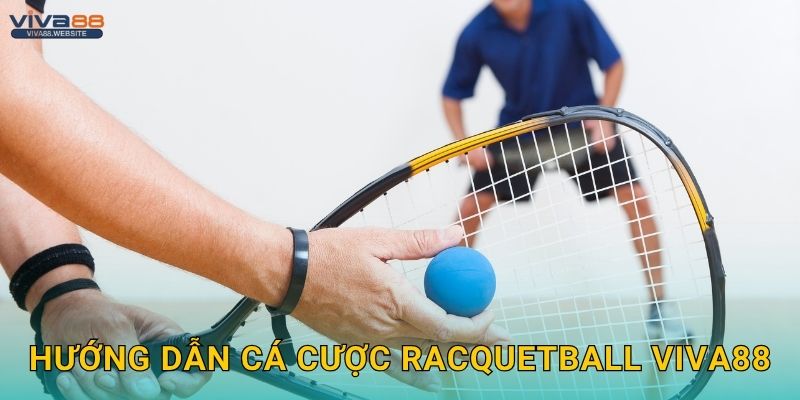Hướng dẫn cá cược Racquetball Viva88