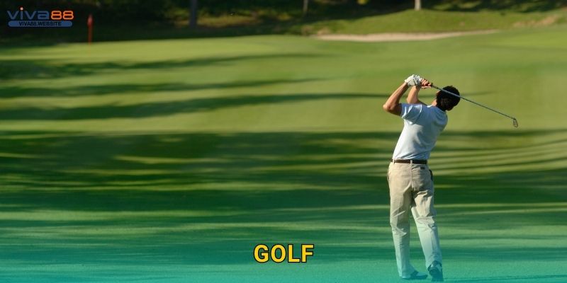 Golf đẳng cấp – Cược tinh tế từng cú đánh tại Viva88