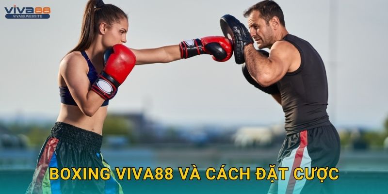 Boxing mạnh mẽ – Cược từng hiệp đấu tại Viva88 2 Boxing Viva88 và cách đặt cược