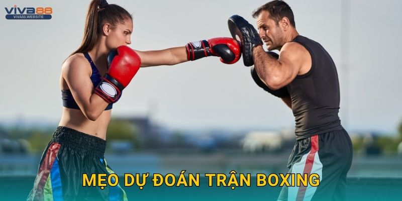 Boxing mạnh mẽ – Cược từng hiệp đấu tại Viva88 3 Mẹo dự đoán trận Boxing