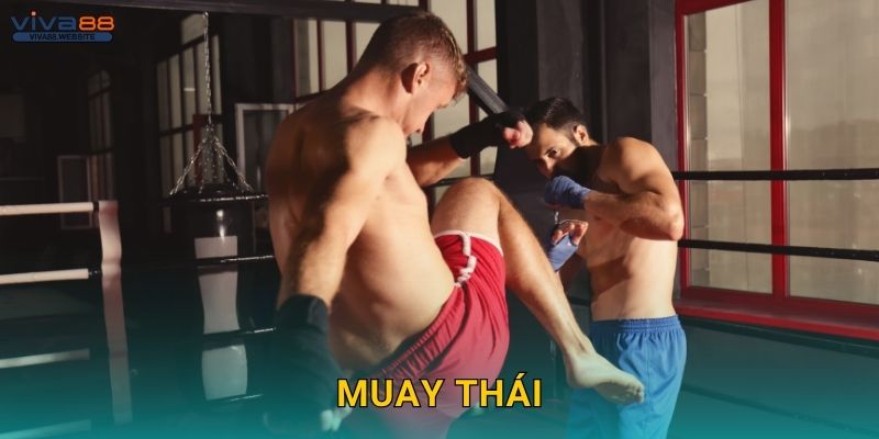Muay Thái truyền thống – Tinh thần chiến đấu tại Viva88 1 Muay Thái truyền thống – Tinh thần chiến đấu tại Viva88
