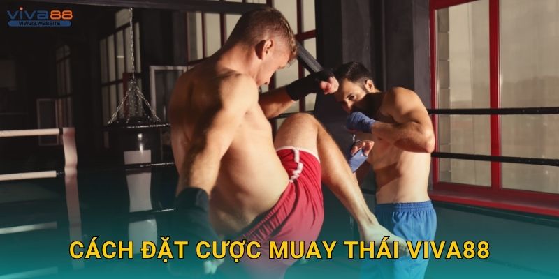 Muay Thái truyền thống – Tinh thần chiến đấu tại Viva88 2 Cách đặt cược Muay Thái Viva88