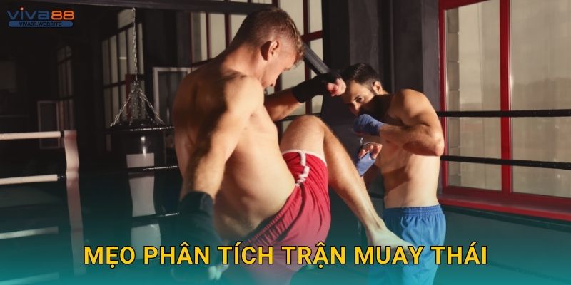 Muay Thái truyền thống – Tinh thần chiến đấu tại Viva88 3 Mẹo phân tích trận Muay Thái