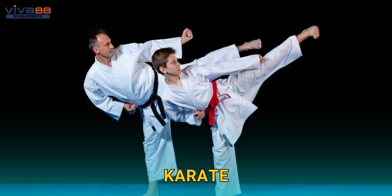 Karate mạnh mẽ – Võ đạo tinh khiết tại Viva88 1 Karate mạnh mẽ – Võ đạo tinh khiết tại Viva88