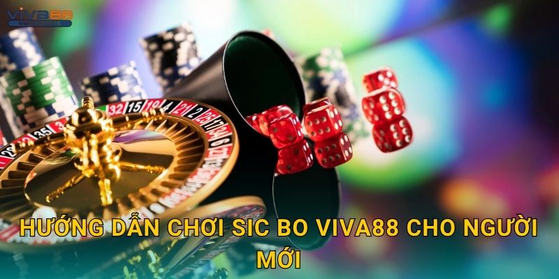 Hướng dẫn chơi Sic Bo Viva88 cho người mới