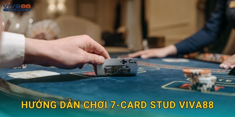 Hướng dẫn chơi 7-Card Stud Viva88